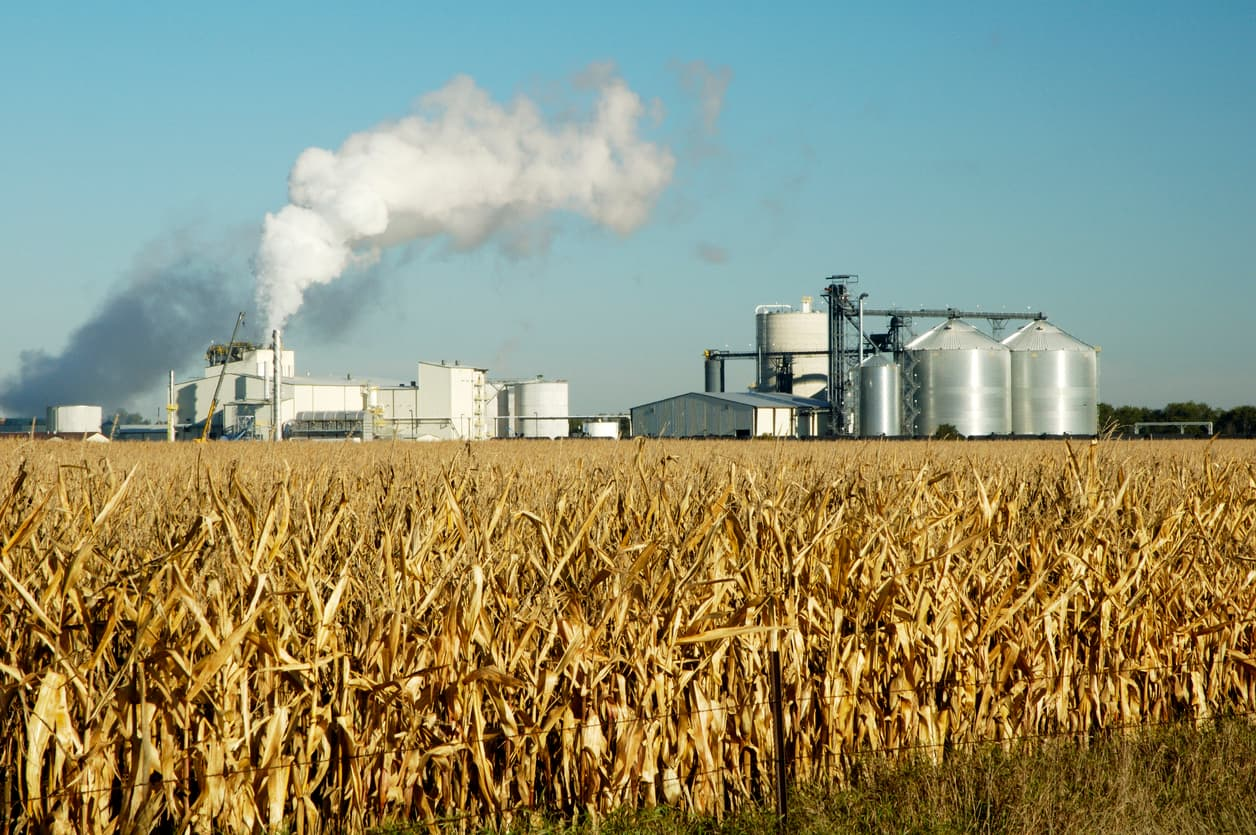 How much does India's ethanol blending really cost—and what next?